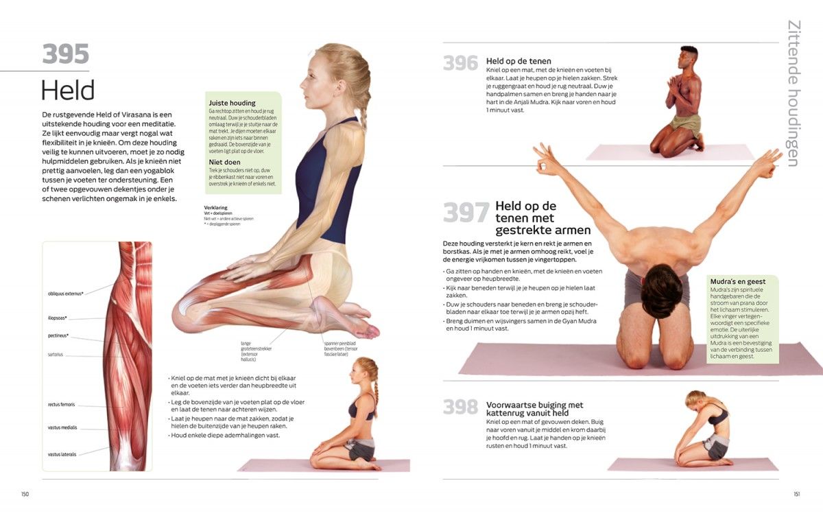 Gevoelig voor Afgeschaft havik 501 Yoga-oefeningen - Librero b.v.