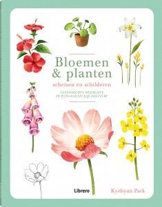 Bloemen & planten schetsen en schilderen